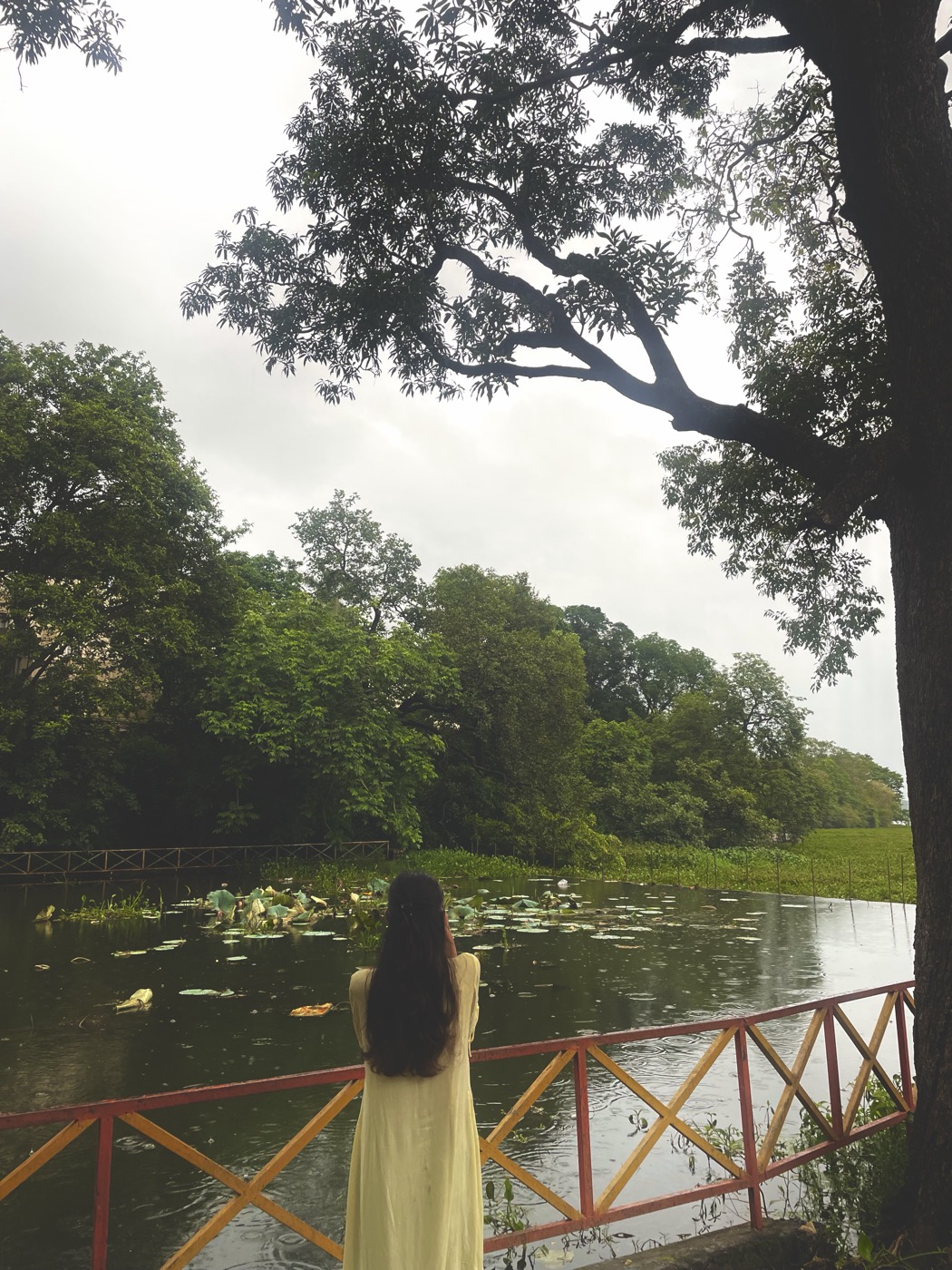 A glimpse of Sugandha's world